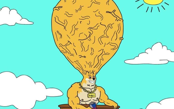 1000배 레버리지 노리는 ‘헬창 강아지’ 맥시 도지… 페페코인(PEPE) 랠리 바통 이어받을까