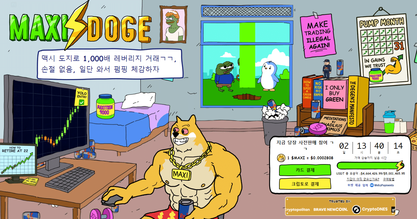 맥시 도지 사전판매 웹사이트