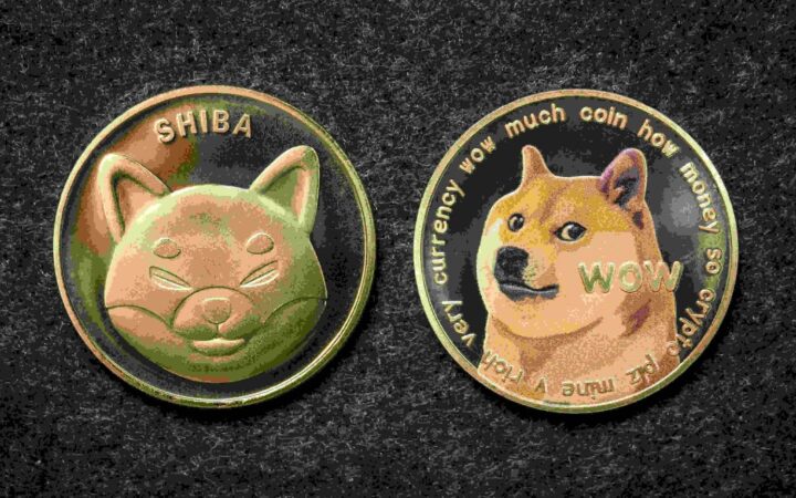 Shiba Inu koers daalt – houdt SHIB stand op $0,0000102 of breekt belangrijke steun?