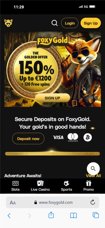 FoxyGold - Top 5 casino’s zonder Cruks screenshot