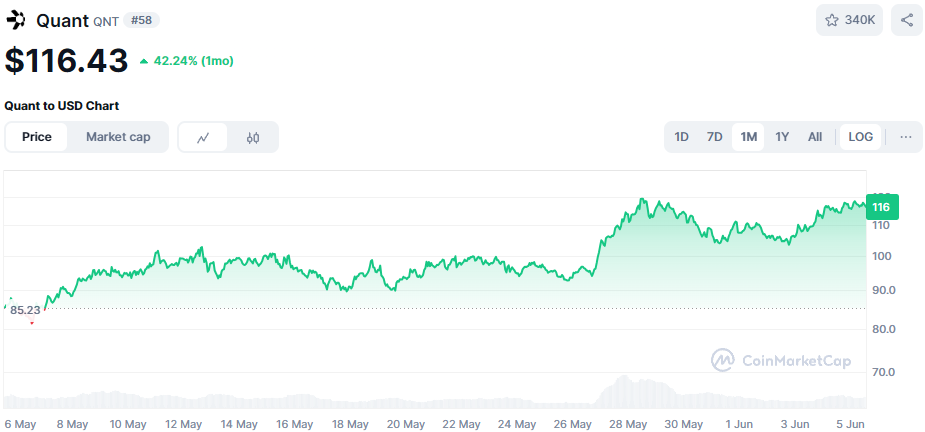 De koers van Quant Network in de afgelopen maand. Bron: CoinMarketCap