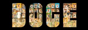 dogecoin, grootste meme coin met groeipotentieel