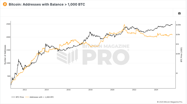Aantal Bitcoin-adressen met meer dan 1.000 BTC