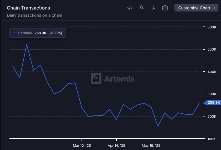het aantal dagelijkse transacties is afgenomen op Cardano