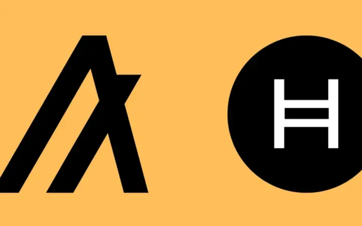 Hedera whale accumulatie wijst op mogelijke uitbraak naar $0.30 – beste altcoin voor de bull run?