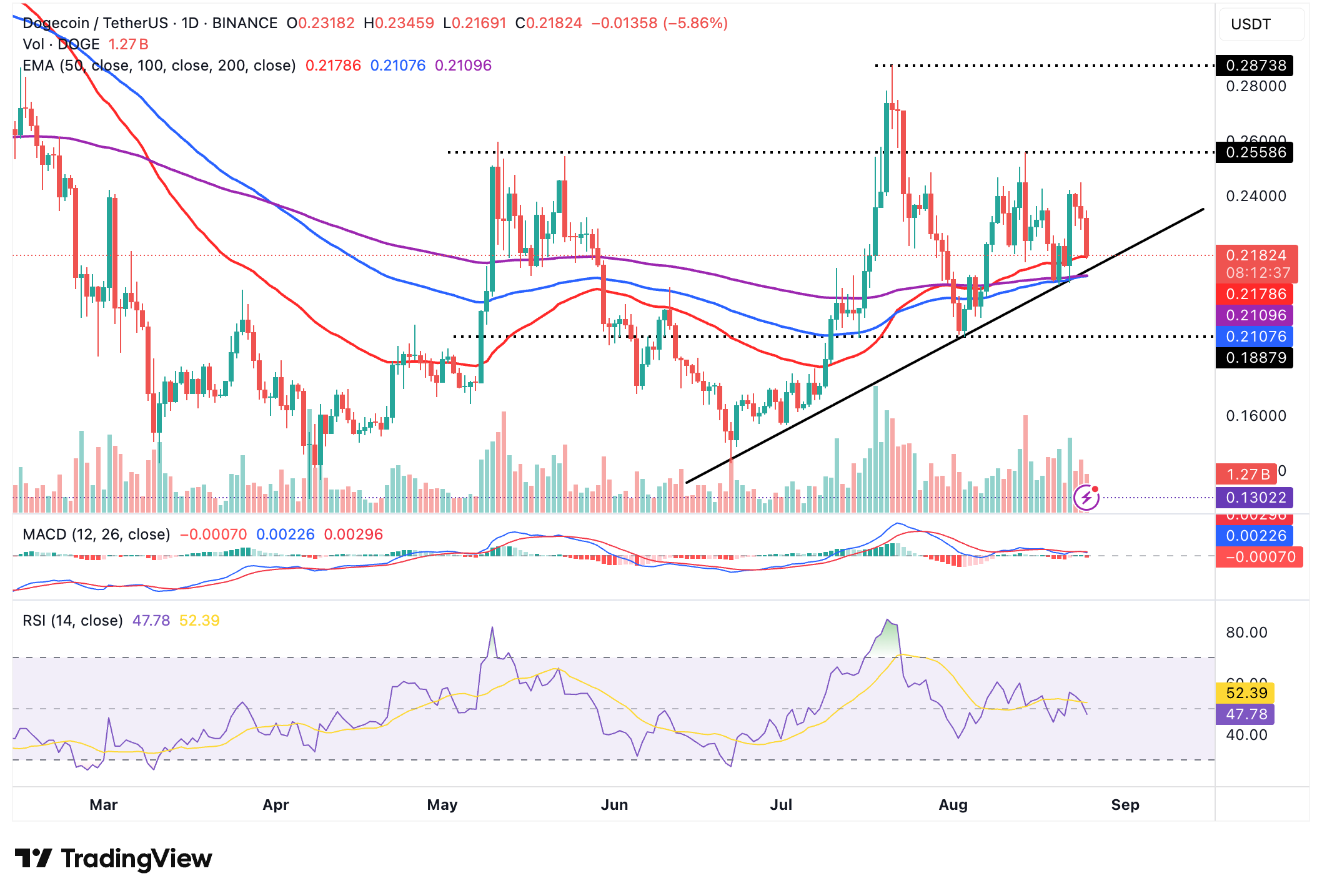 DOGE/USDT dagelijkse chart | Bron: TradingView