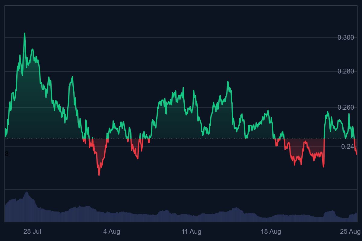 Hedera coin, beste altcoin, crypto bull run, hedera coin verwachting