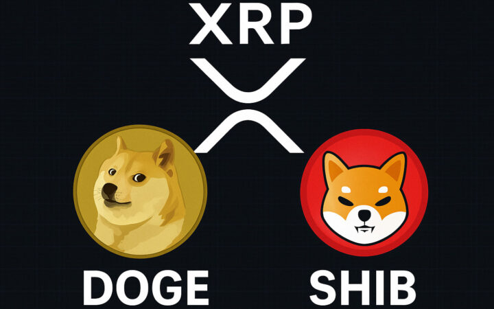 Beste crypto om nu te kopen: ‘XRP, DOGE en SHIB leiden oktober rally’ zegt expert