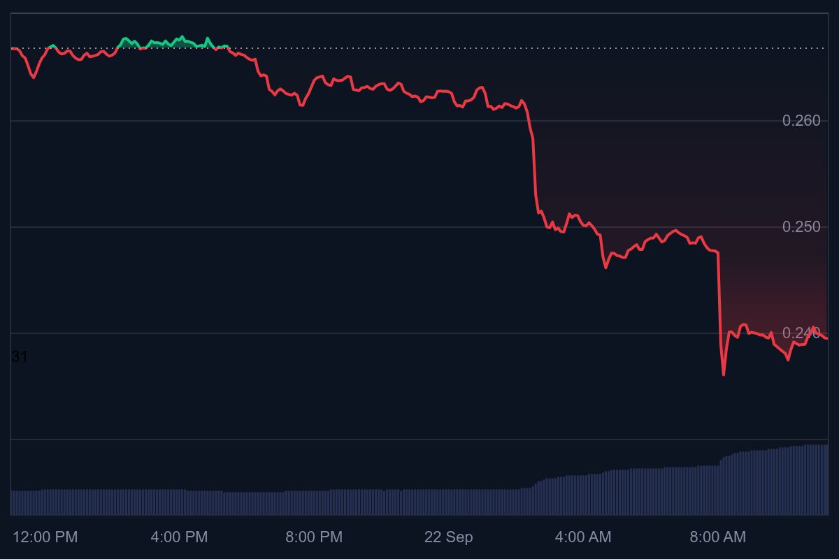 Dogecoin ETF, dogecoin koers, doge koers, hype crypto, kan dogecoin 1 dollar worden