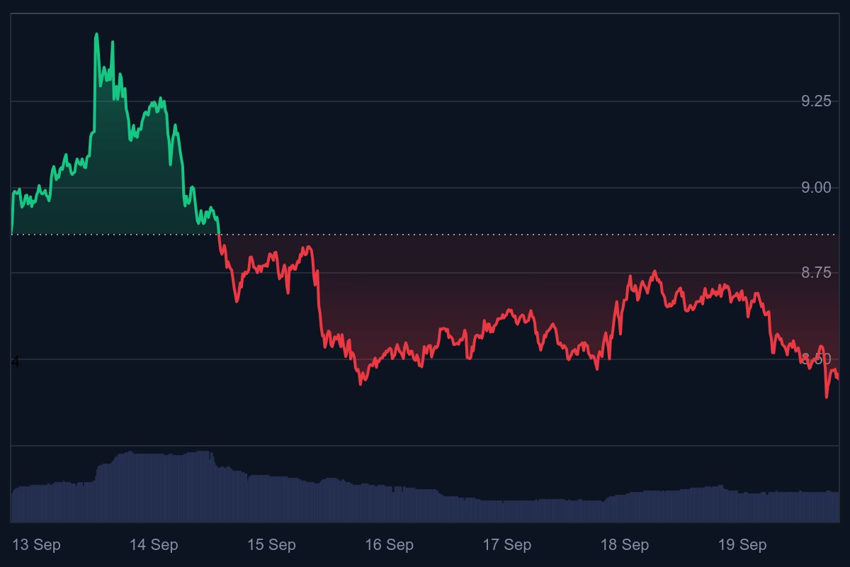 trump crypto, trump meme coin, meme coin, crypto meme, welke crypto gaat stijgen
