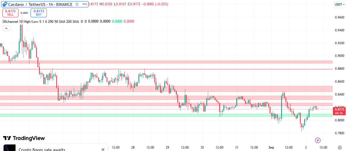 cardano koers support