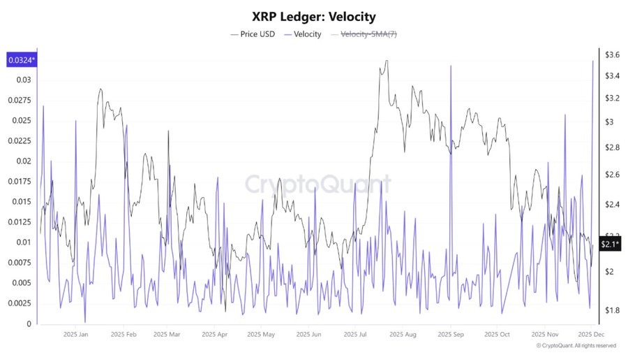 XRP Ledger-Velocity