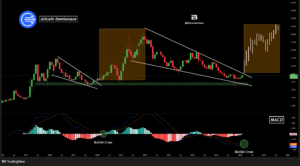 Bitcoin dominantie crasht 