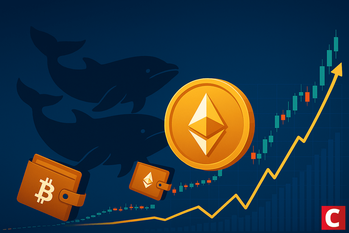 Baleias Ethereum acumulam US$ 2,5 bilhões - Coinspeaker - Notícias de  criptomoedas em português