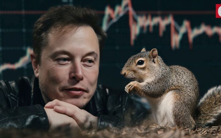 Meme coin Peanut the Squirrel se recupera com postagem de Elon Musk