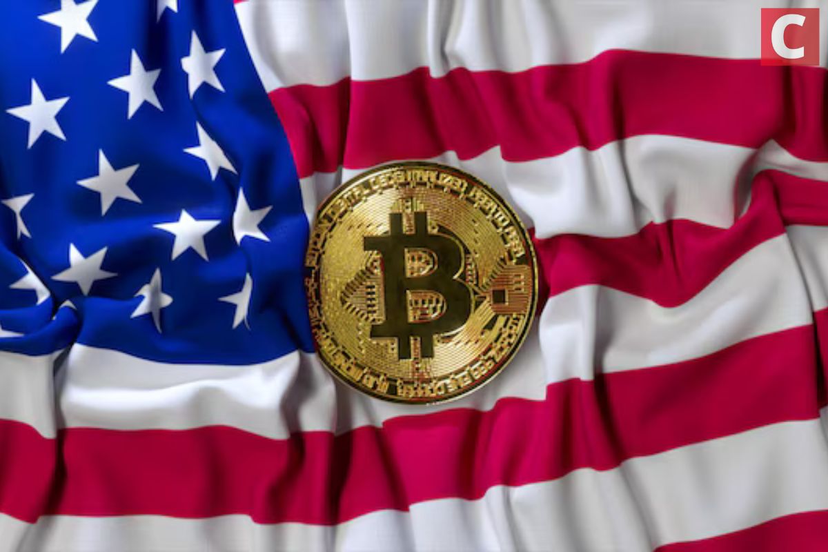 Transações do governo dos EUA e de baleia geram suspeitas - Coinspeaker -  Notícias de criptomoedas em português