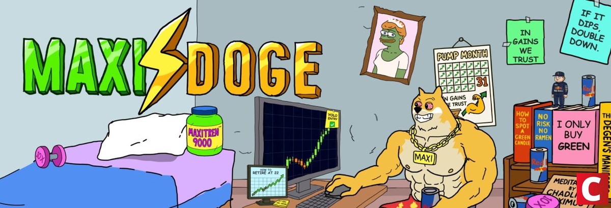 Maxi Doge arrecada US$ 350 mil na primeira semana