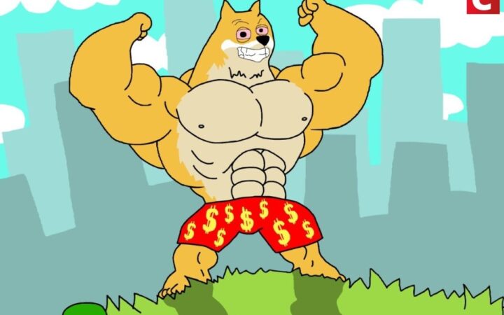 MAXI, o ‘primo bombado’ do DOGE, ultrapassa US$ 500 mil em pré-venda 