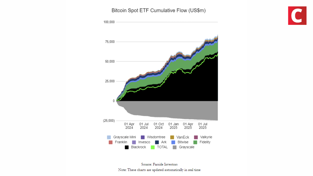 Gráfico demonstrando os ETFs spot de bitcoin em 2025