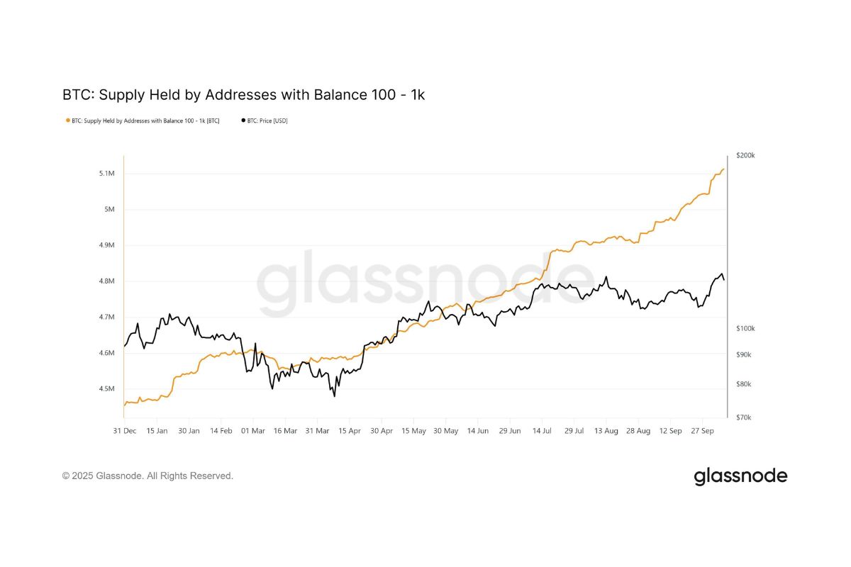 Endereços com 100 a 1.000 BTC alcançam máxima histórica e elevam pressão de oferta no horizonte do Bitcoin