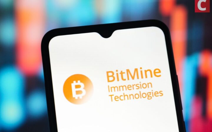 Com US$ 12,9 bilhões, BitMine se consolida na liderança em tesourarias de Ethereum