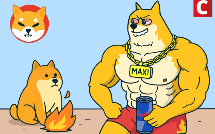 Shiba Inu mantém estabilidade acima de US$ 0,000010