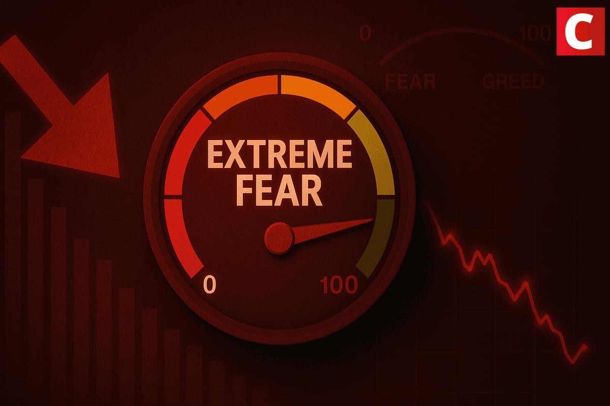 Índice demonstra medo extremo no mercado cripto - Coinspeaker - Notícias de  criptomoedas em português