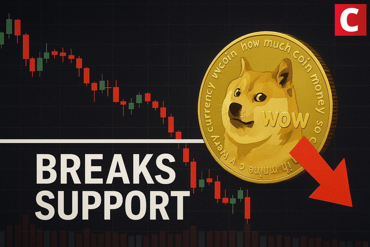 Dogecoin perde suporte e gera dúvidas sobre tokens de cachorros -  Coinspeaker - Notícias de criptomoedas em português