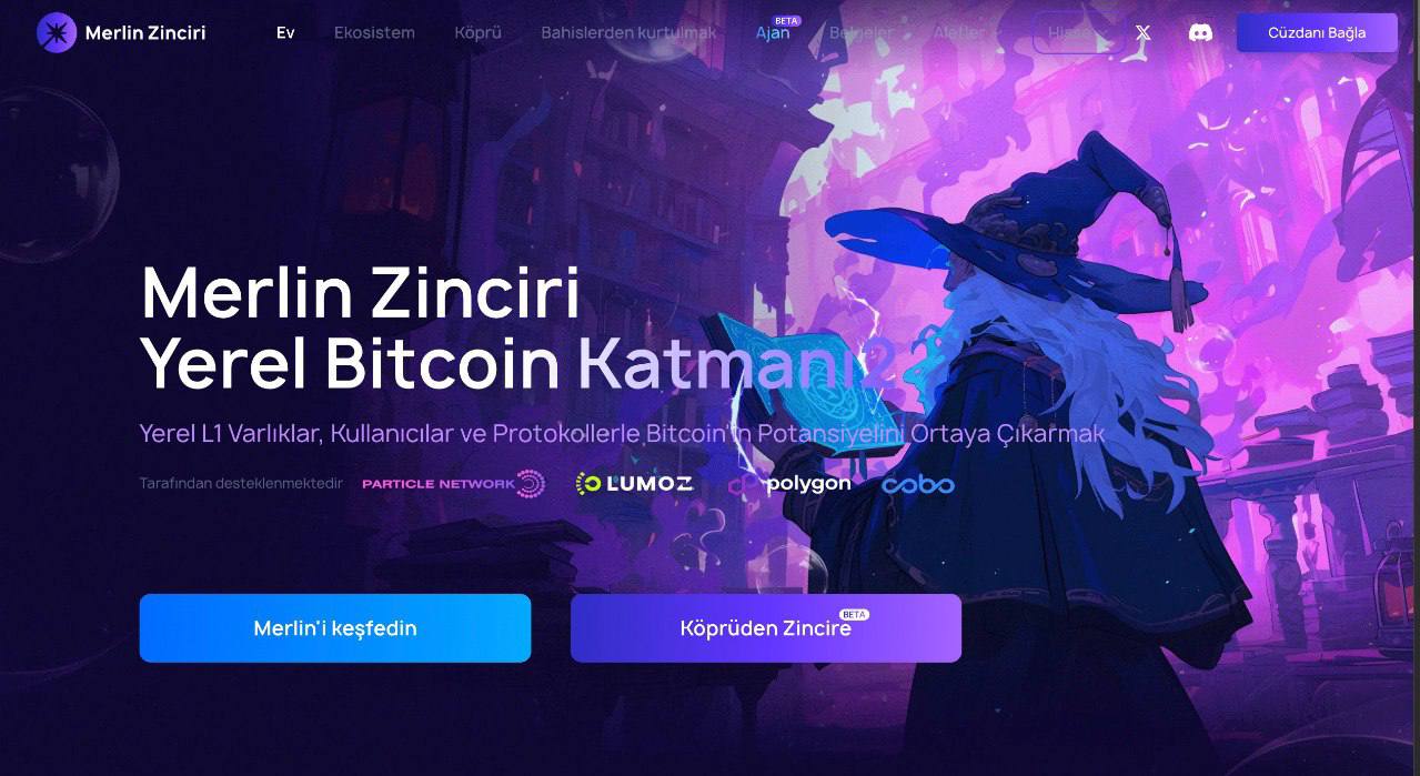 merlchain en çok yükselecek coinler