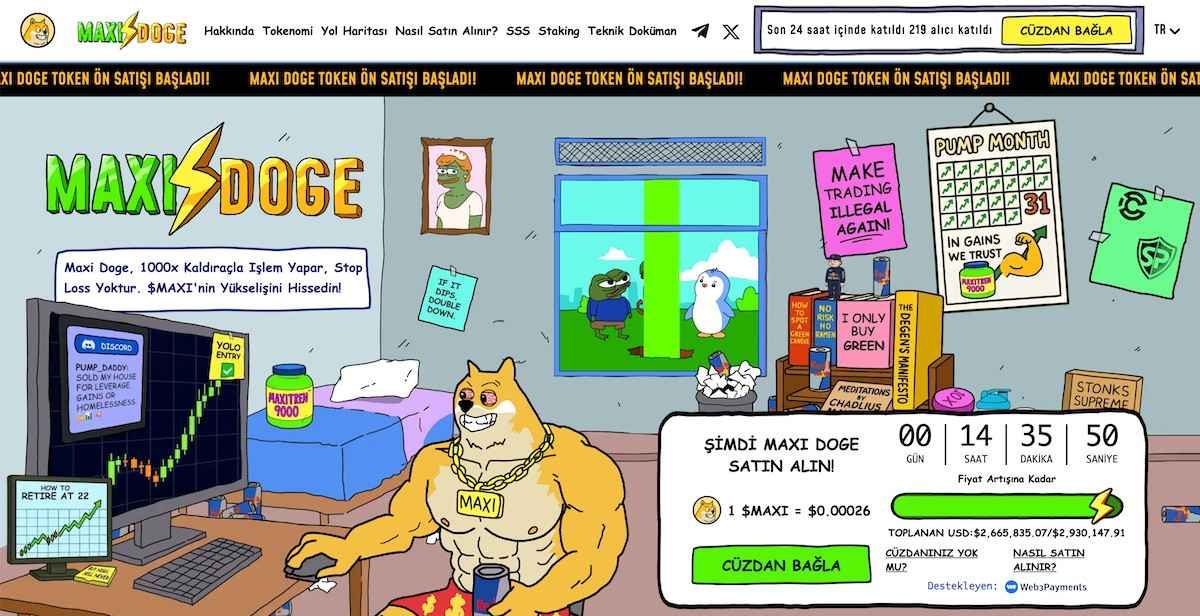 Binance listelenecek coinler - Maxi Doge