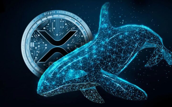 XRP Balinaları 30 Milyon Token Topladı: Fiyat 3 Doları Aşabilecek mi?