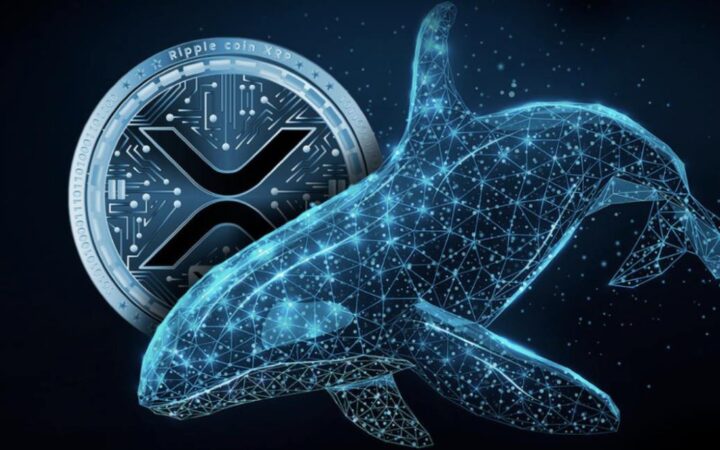 XRP Fiyat Artışı Yakın mı? Göstergeler Alım Sinyali Verdi