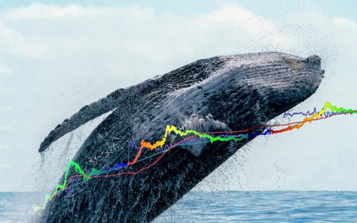 Kasım Ayında Büyük Kazançlar İçin Şimdi Alınacak En İyi Beş Altcoin