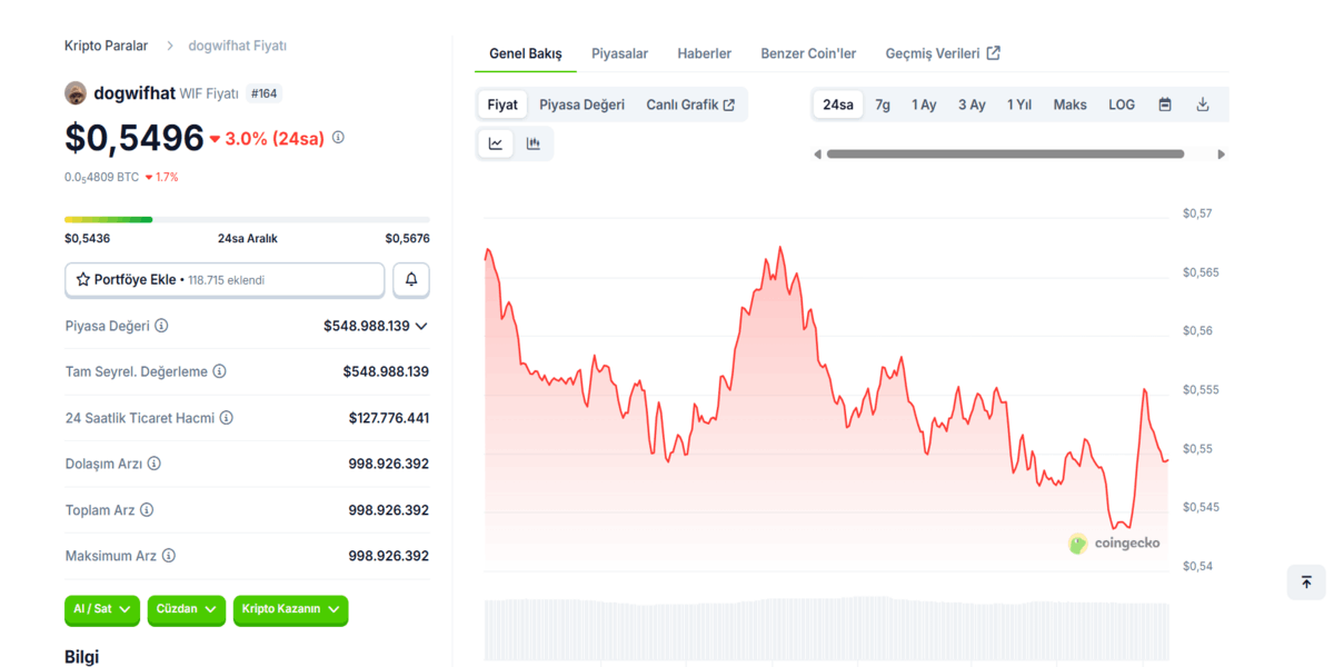 Solana ağındaki meme coinler - Dogwifhat
