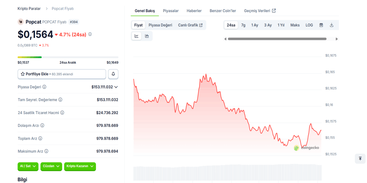 Solana meme coinleri - Popcat