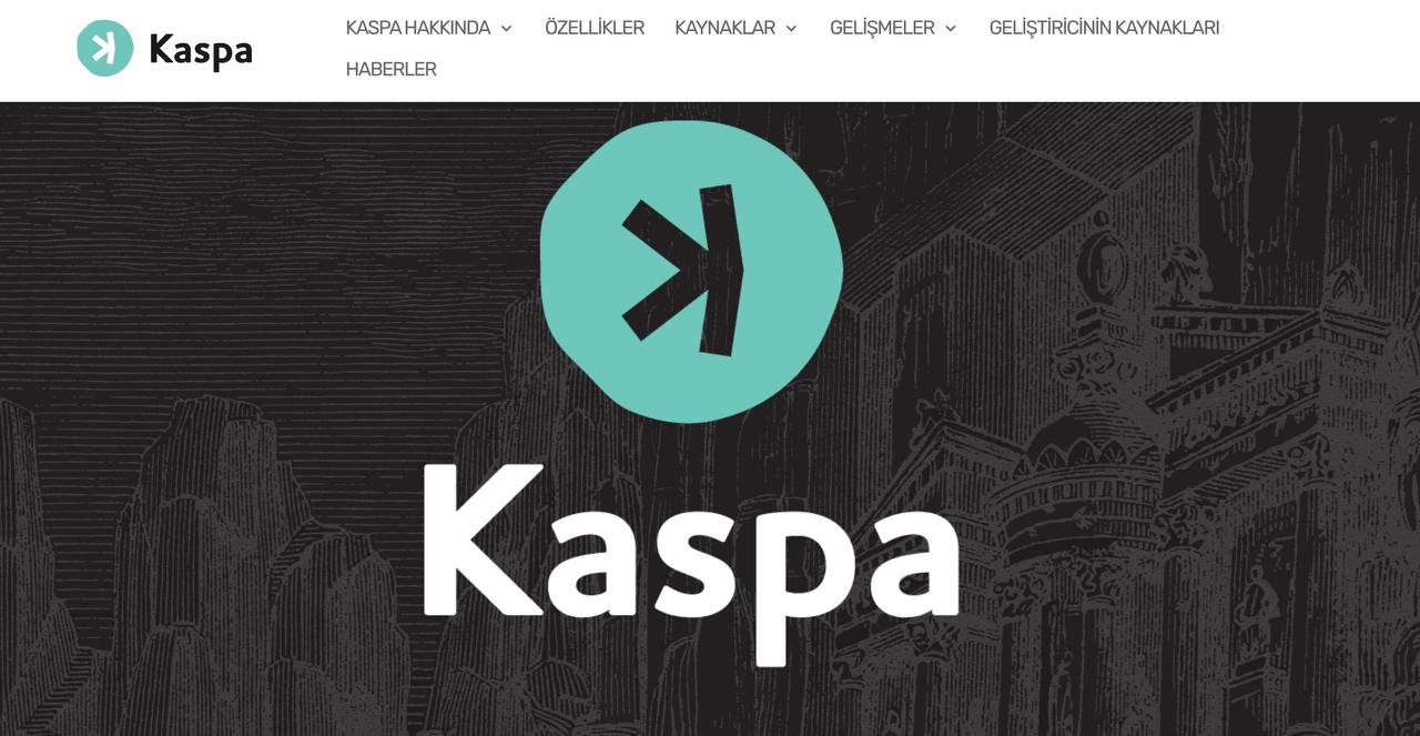 kaspa coin - en hızlı yükselen kripto para