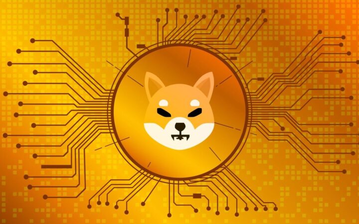 SHIB Büyük Bir Yükseliş Öncesinde $0.0000095 Seviyesinde Güçlü Destek Oluşturuyor