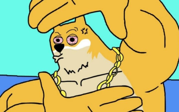 DOGE Musk’ın Gözdesi, Fakat Maxi Doge Güçlü Enerjisiyle Yükseliyor