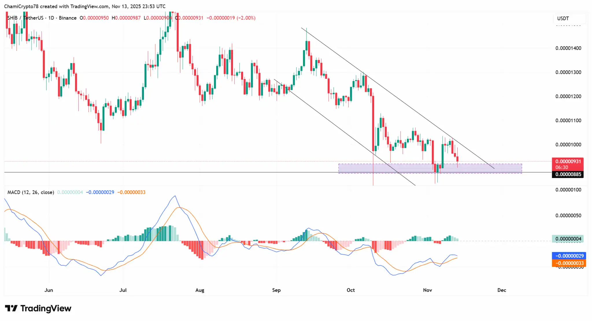 SHIB/USDT 1 Günlük Grafik (Kaynak: TradingView)