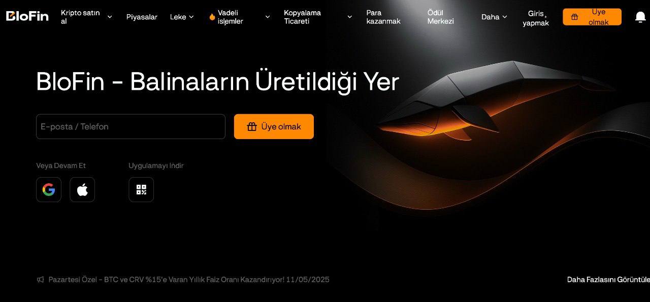 blofin - kyc istemeyen kripto borsaları