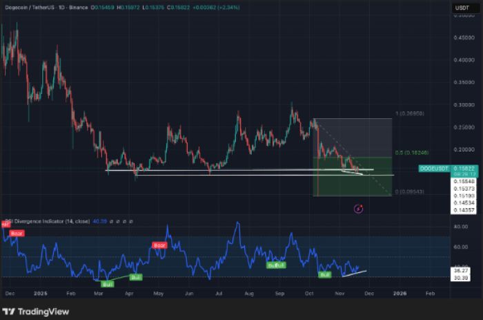 Shiba Inu Yükselişe Hazlanıyor – Ama Dogecoin’in Hakiki Sonunu Getirecek Olan Maxi Doge