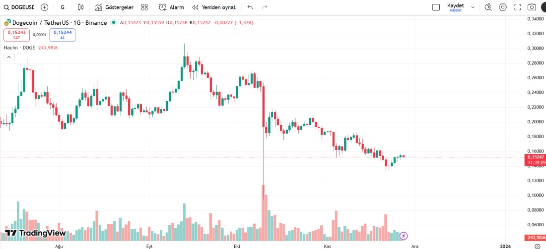 Doge yükselişe başlıyor