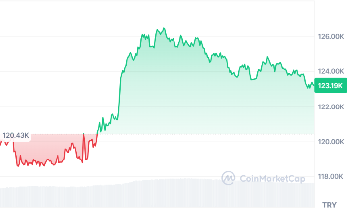 Dijital Varlık Hazineleri Şirketleri Uçurdu: BitMine ve Kurumlar Ethereum’da Güçleniyor