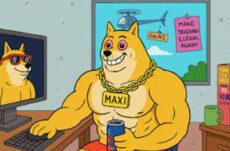 Maxi Doge İncelemesi: Gerçekten Yasal mı, Dolandırıcılık mı?