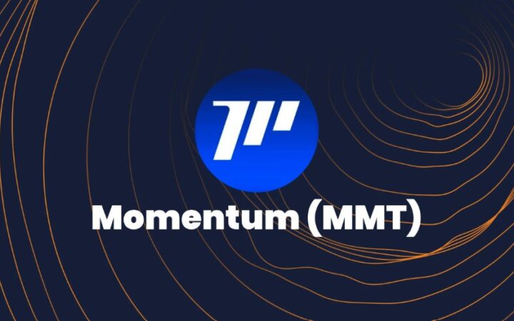 Kurumsal Yatırımlarda Artan Momentum Odaklanması (MMT)