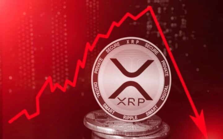 Ripple, Palisade’ı Satın Aldı – Bu Hamle XRP Fiyatını Büyük Kripto Çöküşünden Kurtarabilir mi?