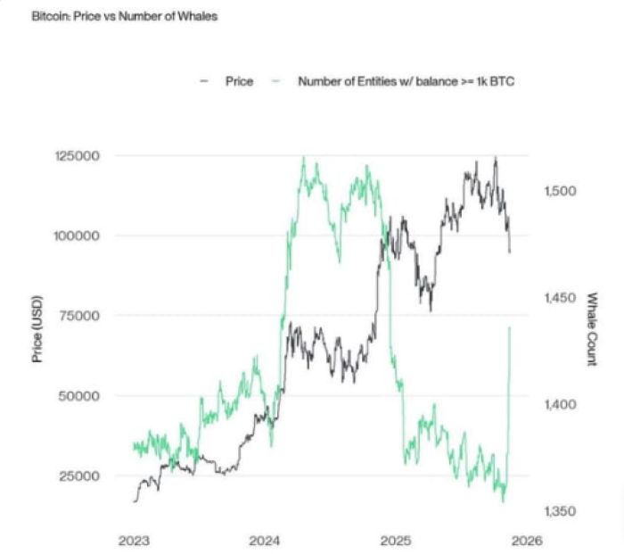 Bitcoin 90.000 Doların Altında: Balinalar Rekor Seviyede Toplanıyor