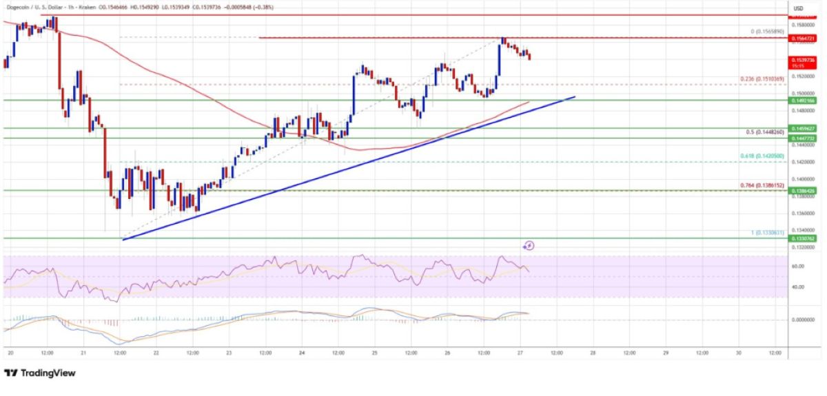 DOGE fiyat analizi 2025