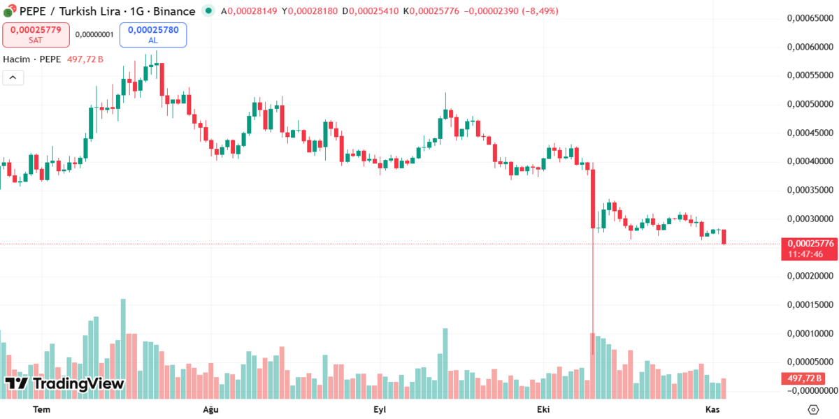 Pepe Coin Geleceği – Piyasa Görünümü ve Yatırımcı Analizi