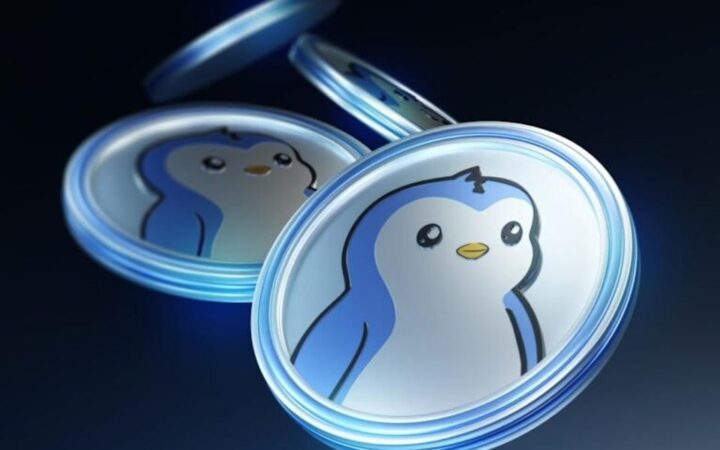 PENGU: 0,0162 $ Desteğiyle Toparlanma Mümkün mü?